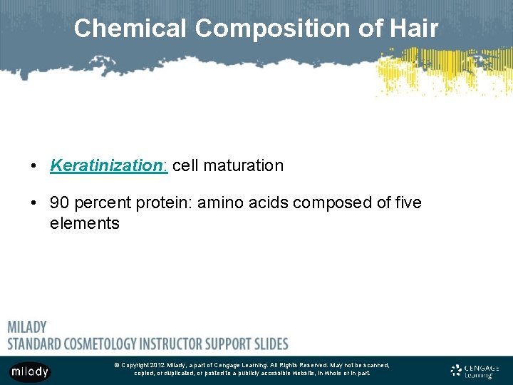 Chemical Composition of Hair • Keratinization: cell maturation • 90 percent protein: amino acids