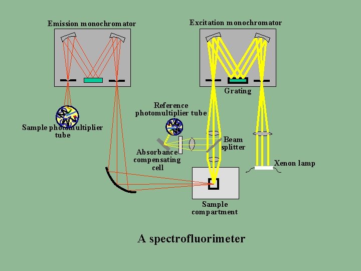 Excitation monochromator Emission monochromator Grating Reference photomultiplier tube Sample photomultiplier tube Absorbance compensating cell