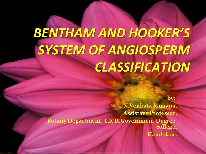 BENTHAM AND HOOKER’S SYSTEM OF ANGIOSPERM CLASSIFICATION by: N. Venkata Ramana, Assistant Professor, Botany
