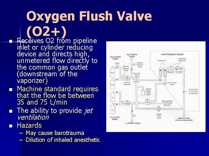 Oxygen Flush Valve (O 2+) n Receives O 2 from pipeline inlet or cylinder