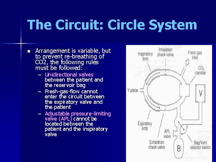 The Circuit: Circle System n Arrangement is variable, but to prevent re-breathing of CO