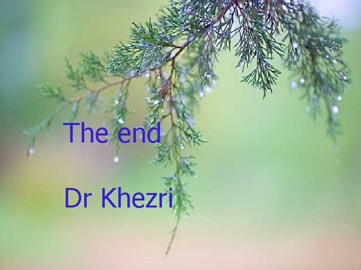 The end Dr Khezri 