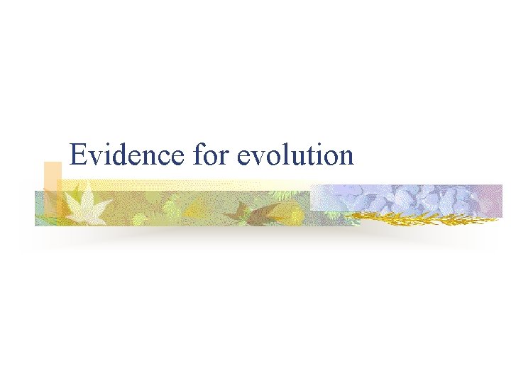 Evidence for evolution 