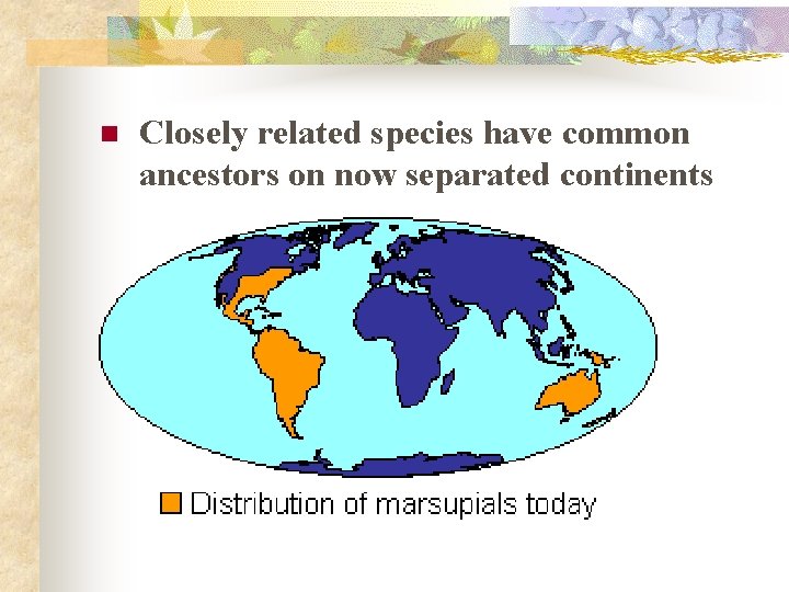 n Closely related species have common ancestors on now separated continents 