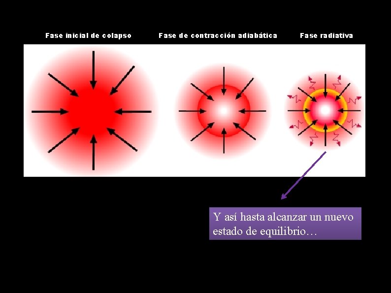 Fase inicial de colapso Fase de contracción adiabática Fase radiativa Y así hasta alcanzar
