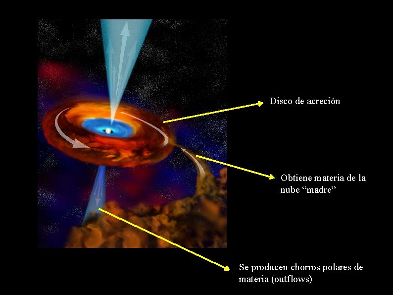 Disco de acreción Obtiene materia de la nube “madre” Se producen chorros polares de