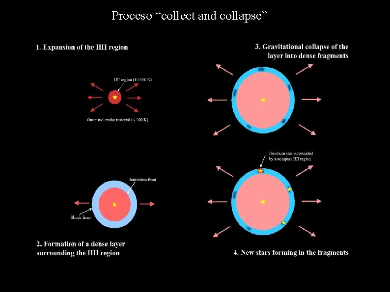 Proceso “collect and collapse” 