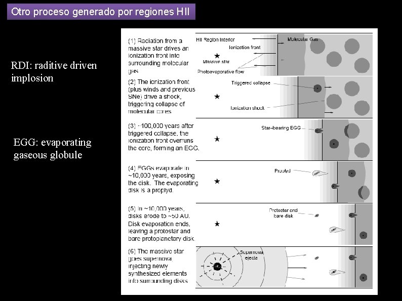 Otro proceso generado por regiones HII RDI: raditive driven implosion EGG: evaporating gaseous globule