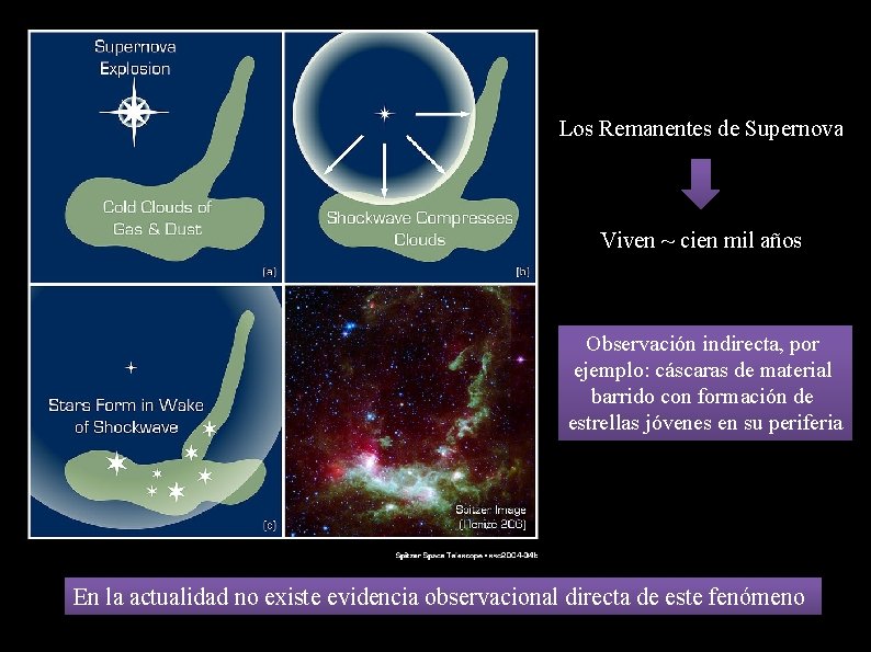 Los Remanentes de Supernova Viven ~ cien mil años Observación indirecta, por ejemplo: cáscaras