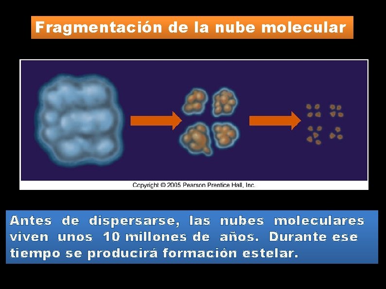 Fragmentación de la nube molecular Antes de dispersarse, las nubes moleculares viven unos 10