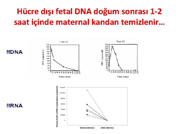 Hücre dışı fetal DNA doğum sonrası 1 -2 saat içinde maternal kandan temizlenir… 