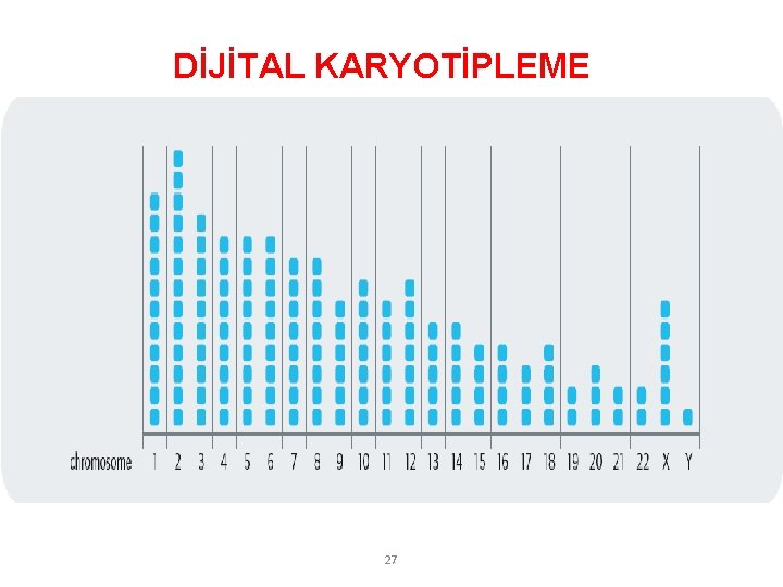 DİJİTAL KARYOTİPLEME 27 