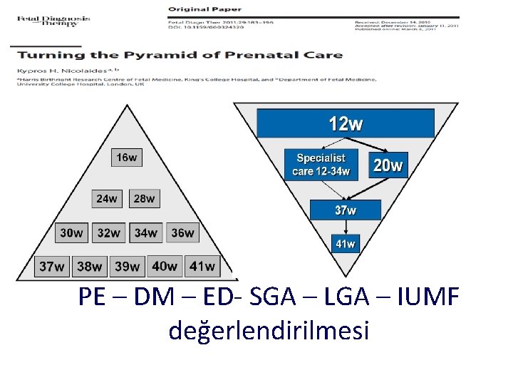 PE – DM – ED- SGA – LGA – IUMF değerlendirilmesi 