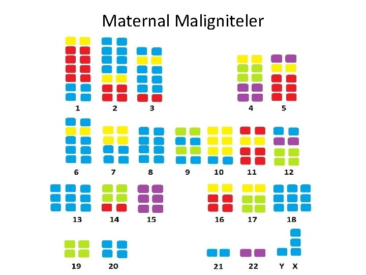 Maternal Maligniteler 37 