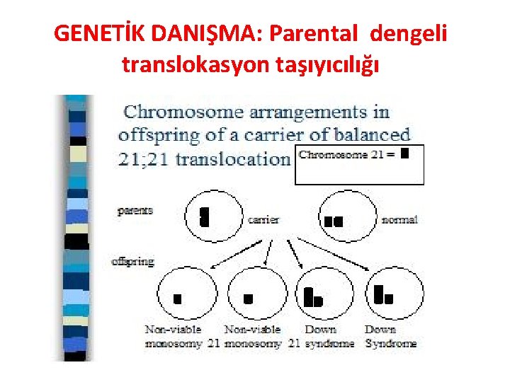 GENETİK DANIŞMA: Parental dengeli translokasyon taşıyıcılığı 