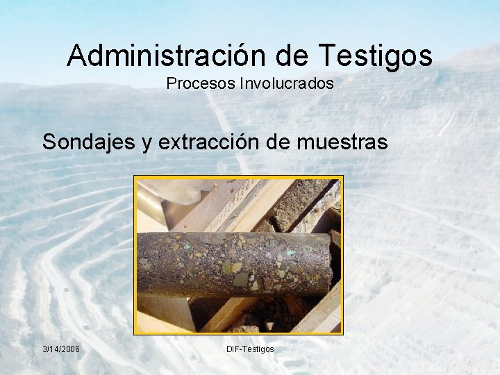 Administración de Testigos Procesos Involucrados Sondajes y extracción de muestras 3/14/2006 DIF-Testigos 