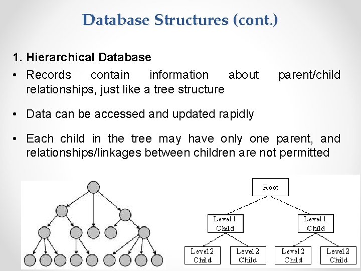 Database Structures (cont. ) 1. Hierarchical Database • Records contain information about relationships, just