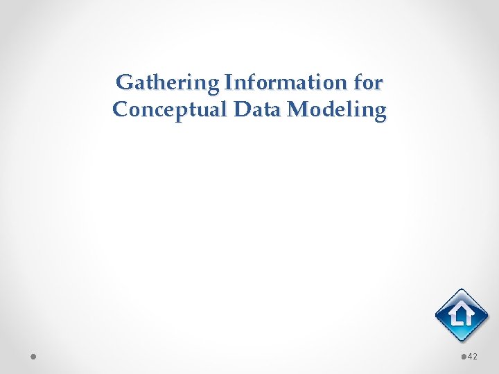 Gathering Information for Conceptual Data Modeling 42 