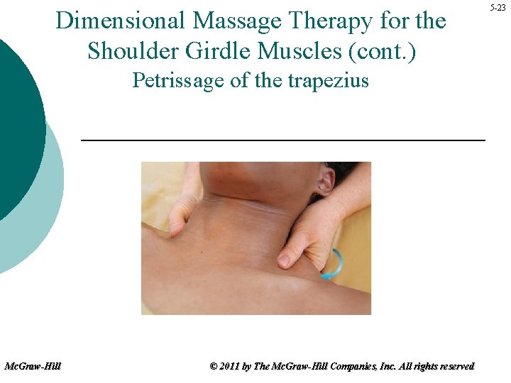 Dimensional Massage Therapy for the Shoulder Girdle Muscles (cont. ) Petrissage of the trapezius