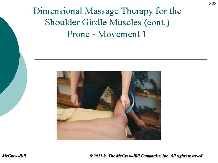 Dimensional Massage Therapy for the Shoulder Girdle Muscles (cont. ) Prone - Movement 1