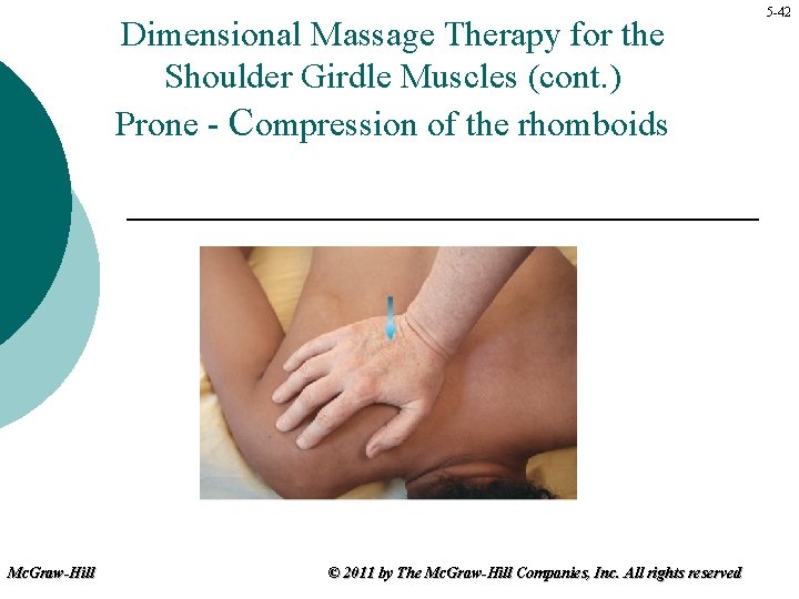Dimensional Massage Therapy for the Shoulder Girdle Muscles (cont. ) Prone - Compression of