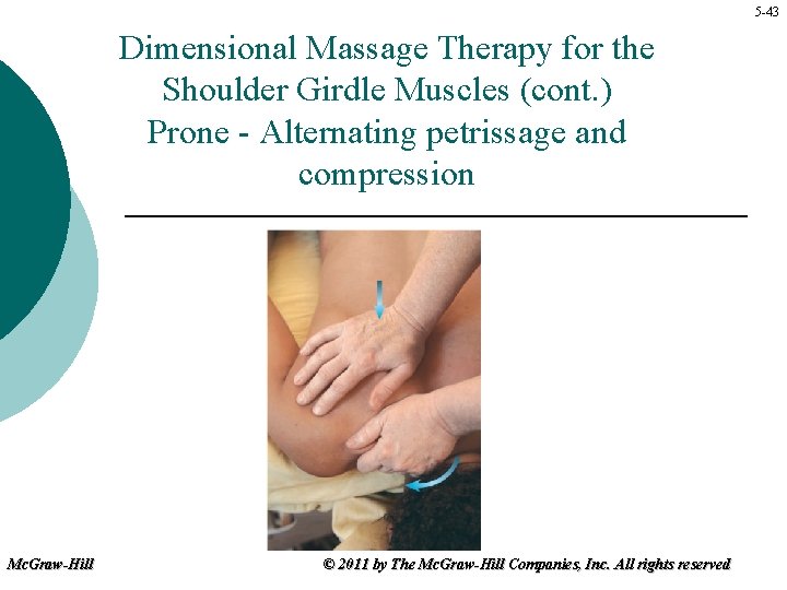 5 -43 Dimensional Massage Therapy for the Shoulder Girdle Muscles (cont. ) Prone -