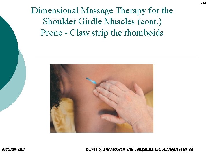 Dimensional Massage Therapy for the Shoulder Girdle Muscles (cont. ) Prone - Claw strip