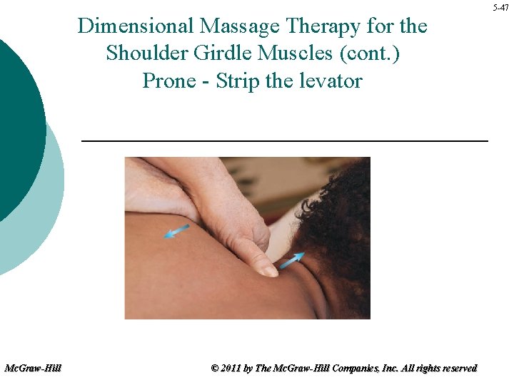 Dimensional Massage Therapy for the Shoulder Girdle Muscles (cont. ) Prone - Strip the