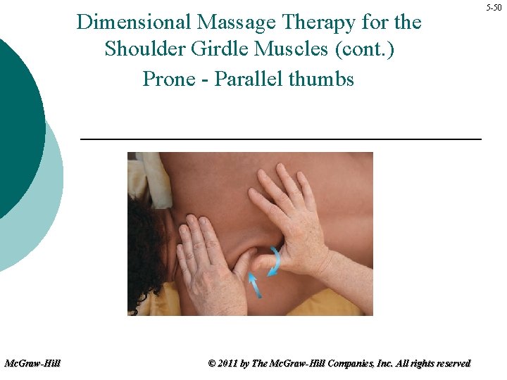 Dimensional Massage Therapy for the Shoulder Girdle Muscles (cont. ) Prone - Parallel thumbs