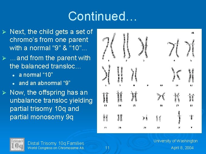 Continued… Next, the child gets a set of chromo’s from one parent with a