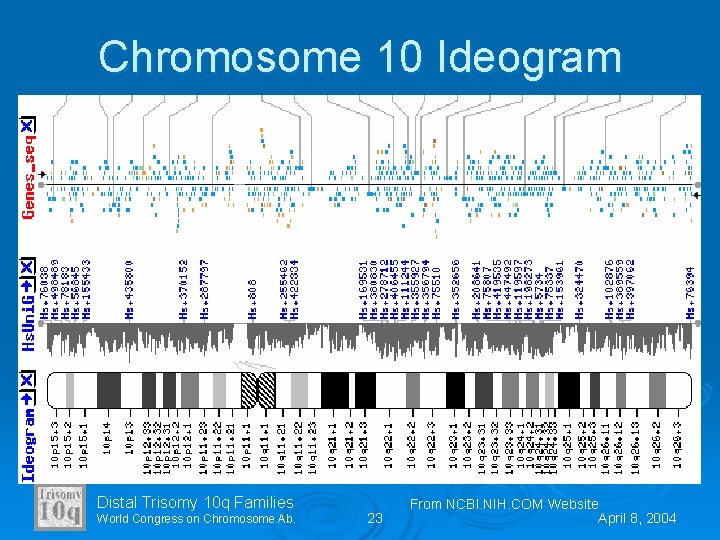 Chromosome 10 Ideogram Distal Trisomy 10 q Families World Congress on Chromosome Ab. 23