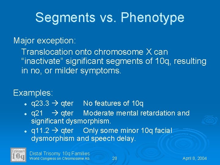 Segments vs. Phenotype Major exception: Translocation onto chromosome X can “inactivate” significant segments of