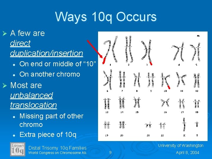 Ways 10 q Occurs Ø A few are direct duplication/insertion l l Ø On