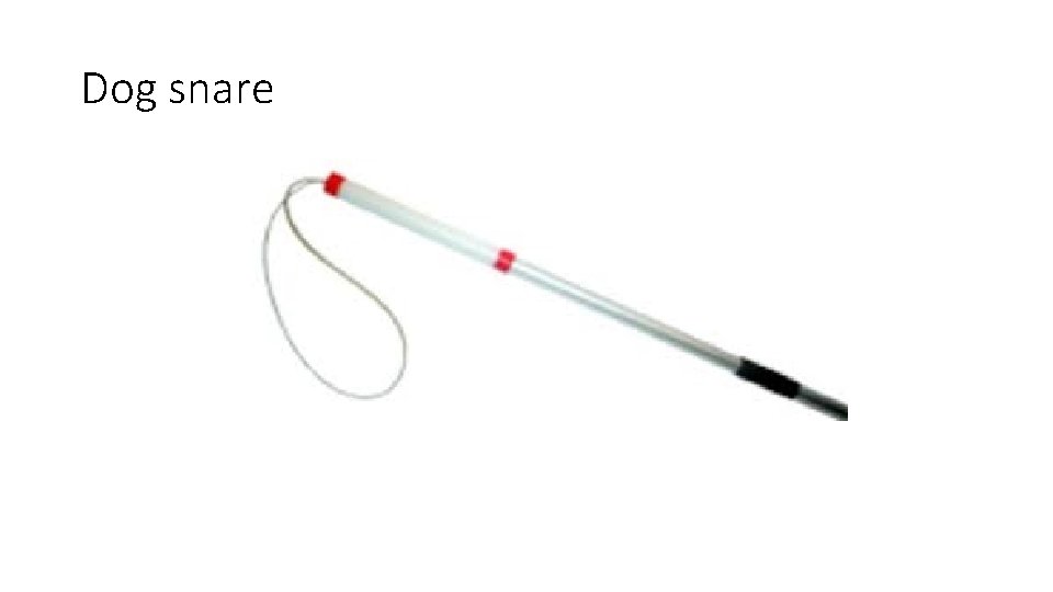 Dog snare 