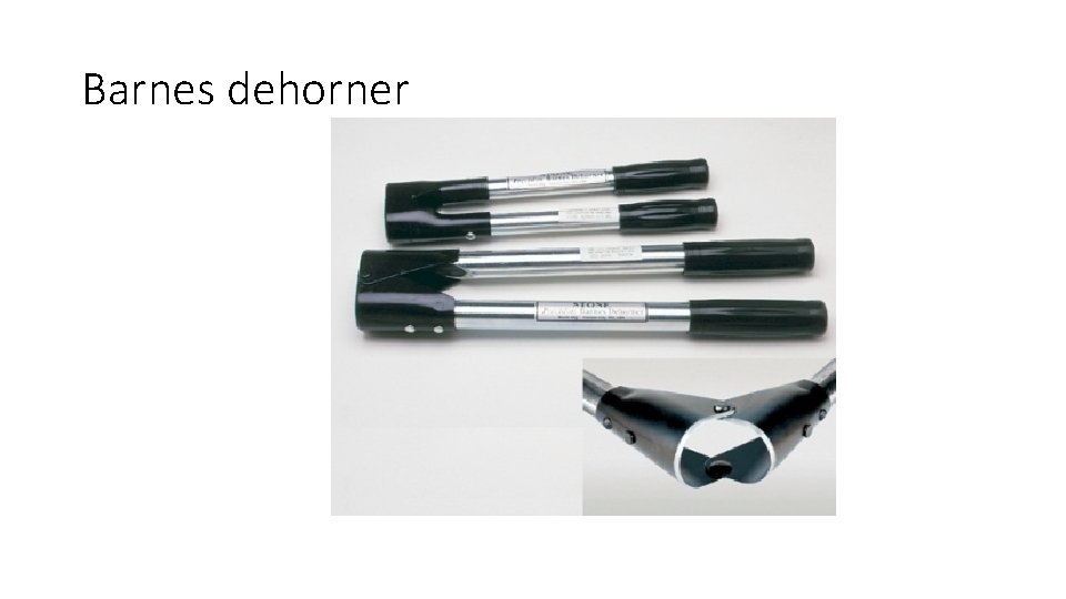 Barnes dehorner 