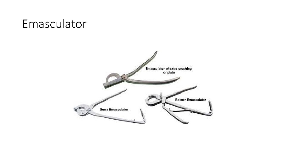 Emasculator 