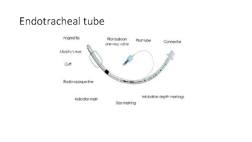 Endotracheal tube 