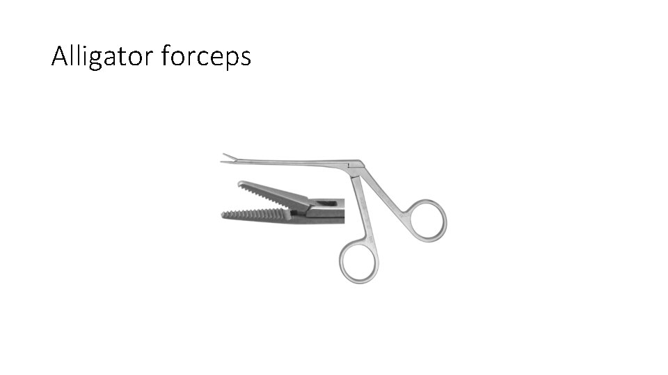Alligator forceps 