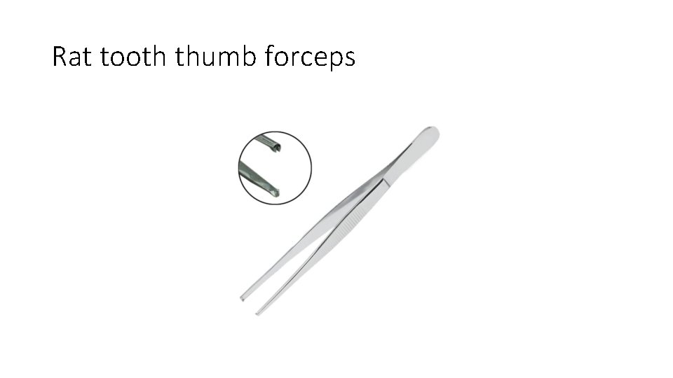 Rat tooth thumb forceps 