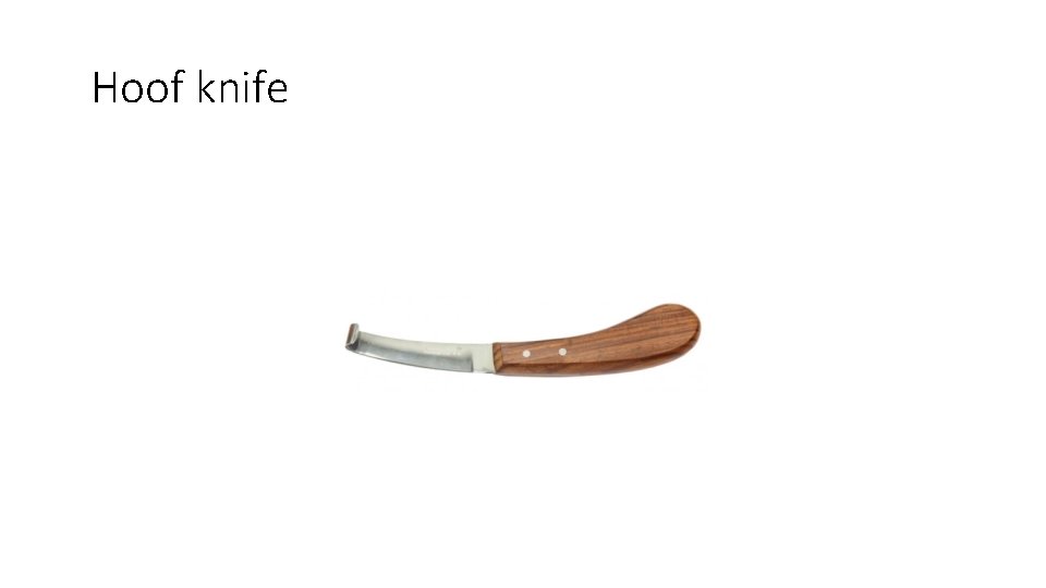 Hoof knife 