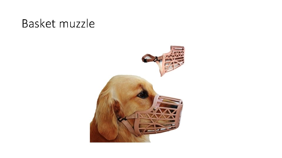 Basket muzzle 