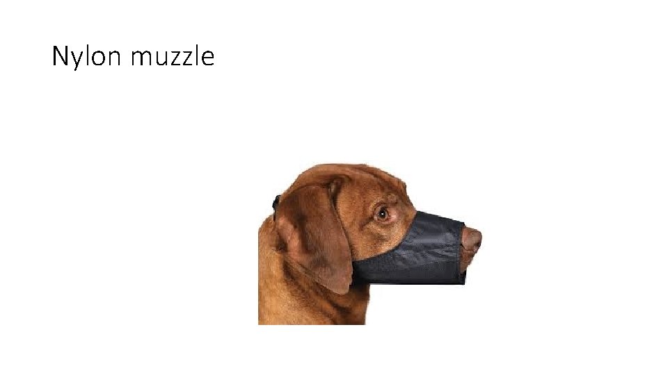 Nylon muzzle 