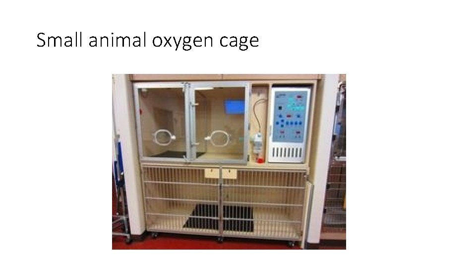 Small animal oxygen cage 