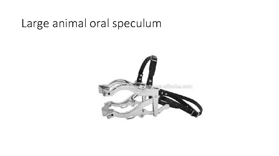 Large animal oral speculum 