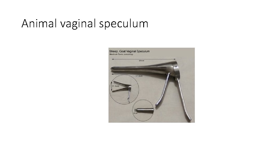 Animal vaginal speculum 