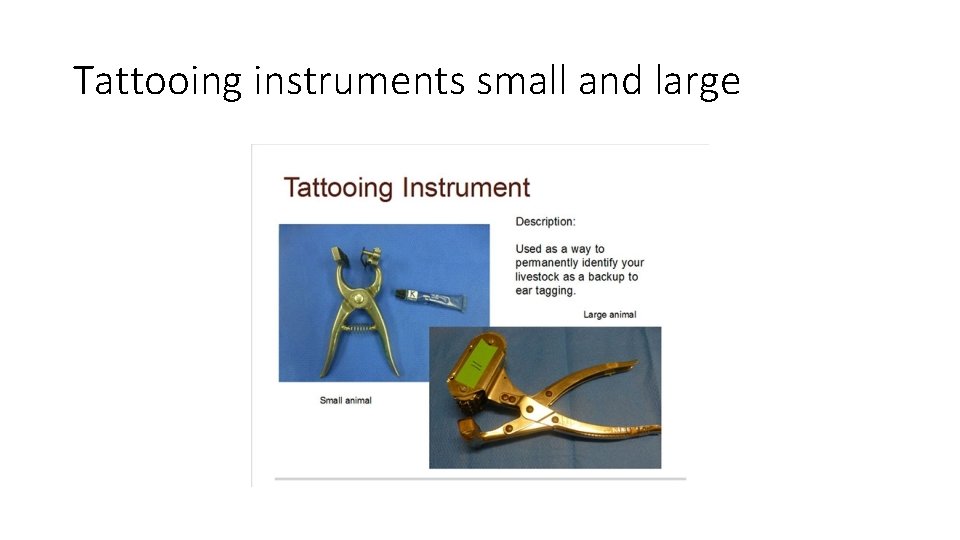Tattooing instruments small and large 