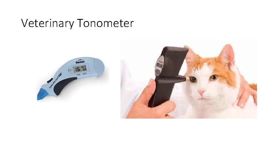 Veterinary Tonometer 