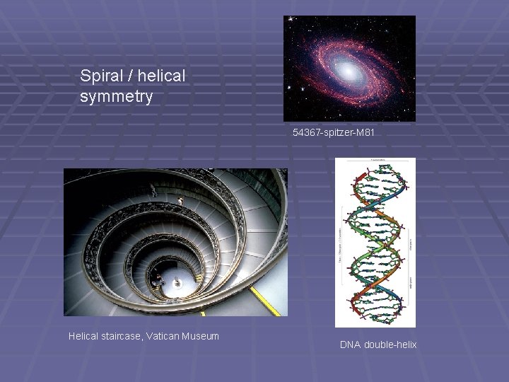 Spiral / helical symmetry 54367 -spitzer-M 81 Helical staircase, Vatican Museum DNA double-helix Spiral / helical symmetry 54367 -spitzer-M 81 Helical staircase, Vatican Museum DNA double-helix