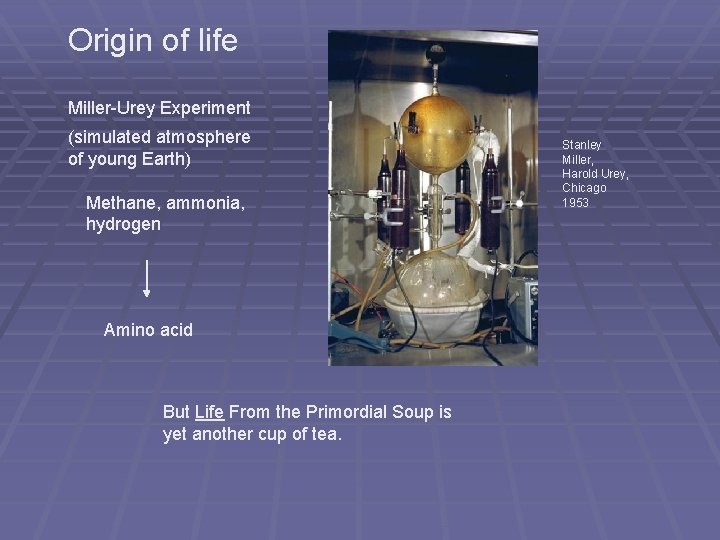 Origin of life Miller-Urey Experiment (simulated atmosphere of young Earth) Methane, ammonia, hydrogen Amino Origin of life Miller-Urey Experiment (simulated atmosphere of young Earth) Methane, ammonia, hydrogen Amino