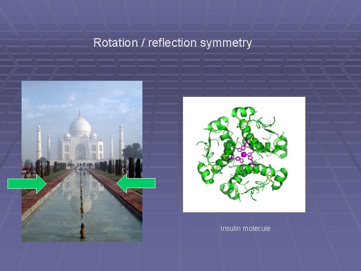 Rotation / reflection symmetry Insulin molecule Rotation / reflection symmetry Insulin molecule